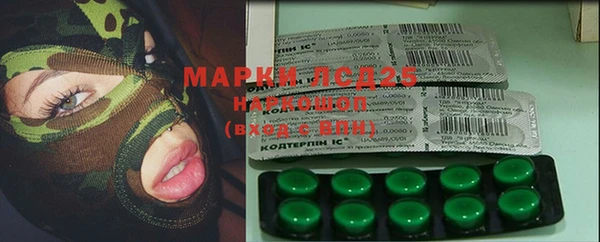 ПСИЛОЦИБИНОВЫЕ ГРИБЫ Алексеевка
