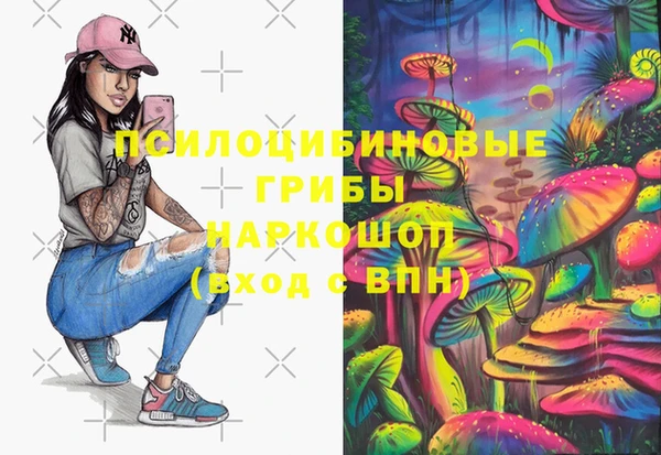 PSILOCYBIN Алексин